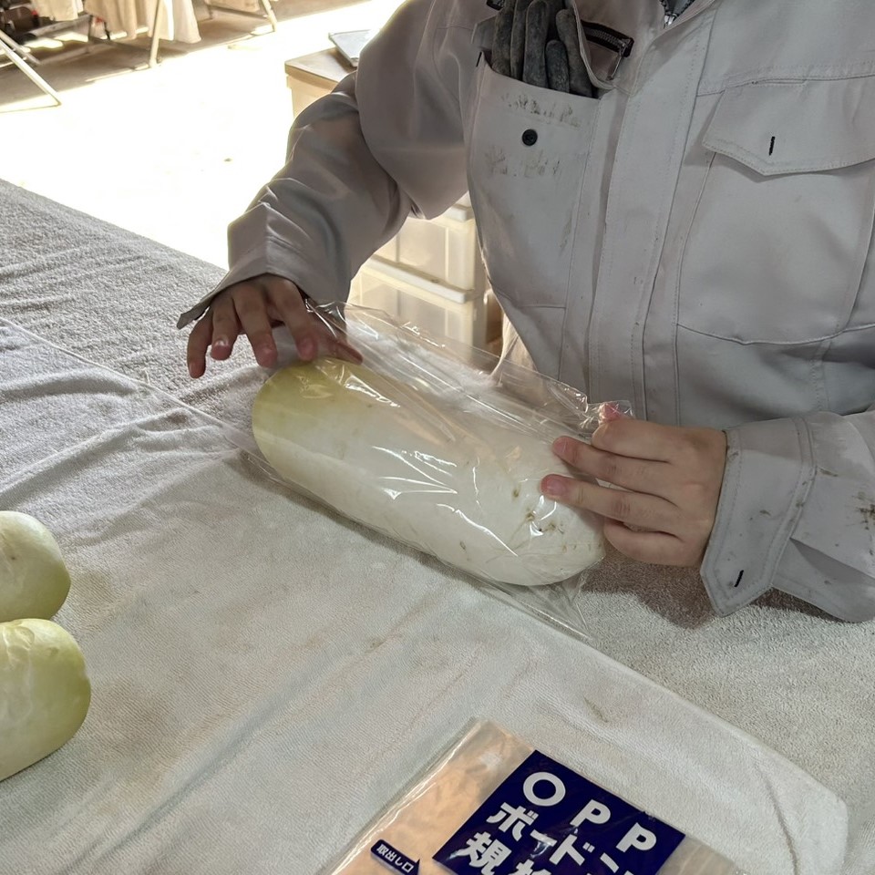 【亀岡・就労支援】丹波支援学校生が農作業体験！教えることで芽生えた、先輩利用者たちの「責任感」