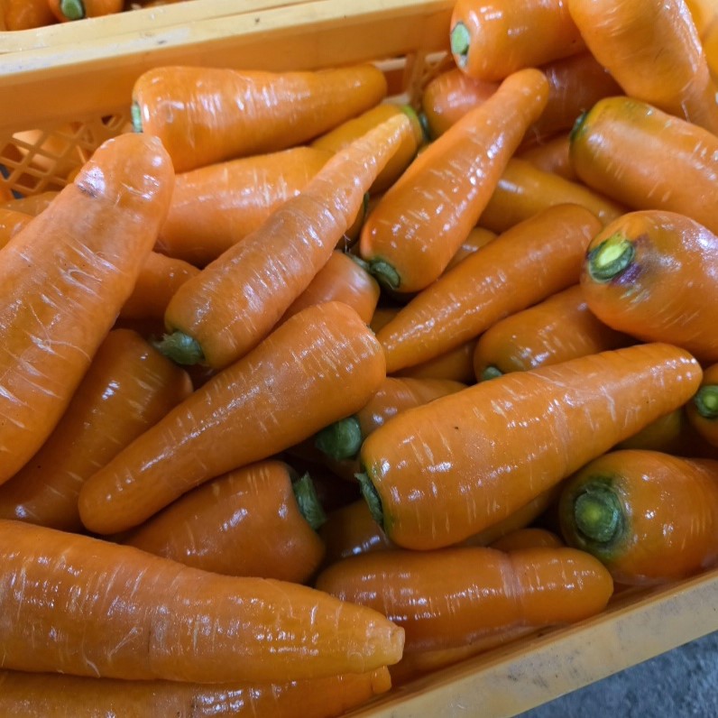 【八木ファーム】冬ニンジンの収穫最盛期！泥付き野菜がピカピカになる洗浄作業の裏側