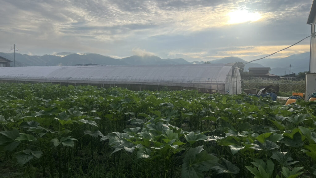 メッケマルシェ告知記事の末尾画像