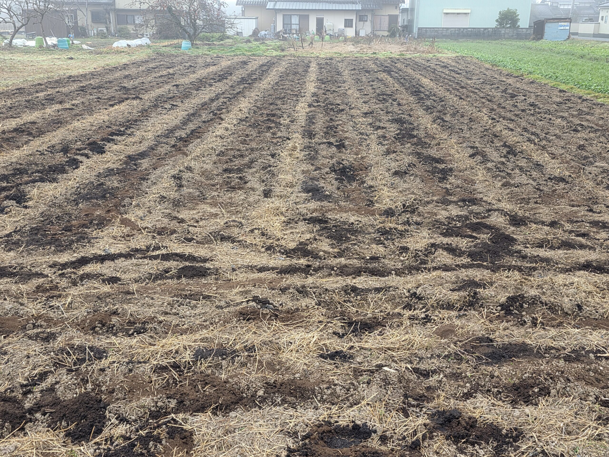 亀岡市での就労継続支援A型農業プログラム：肥料を混ぜ込み、数週間の熟成を待つ畑の風景