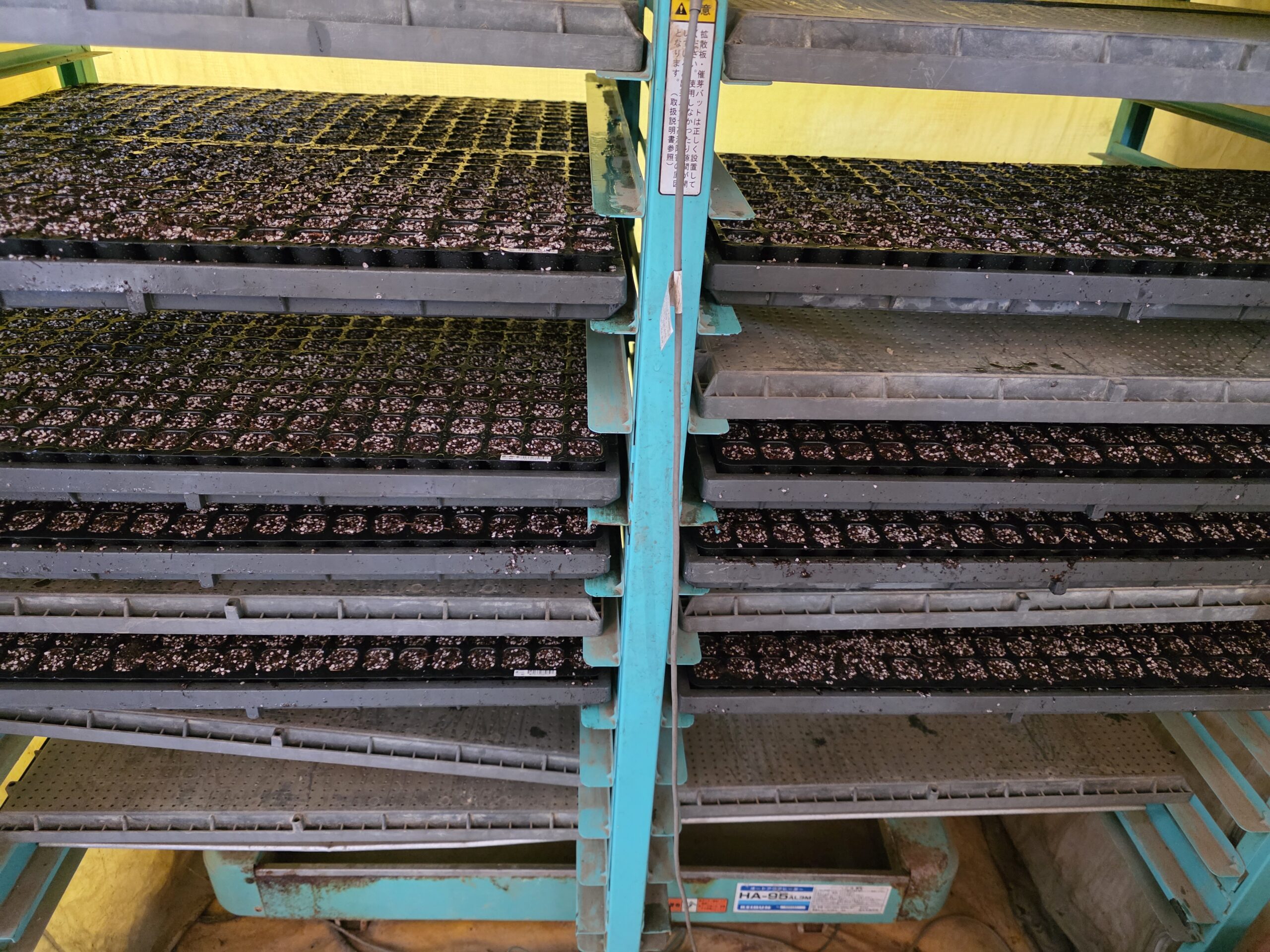 温度と湿度が管理された育苗機