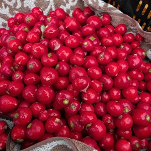 ラディッシュアイキャッチ