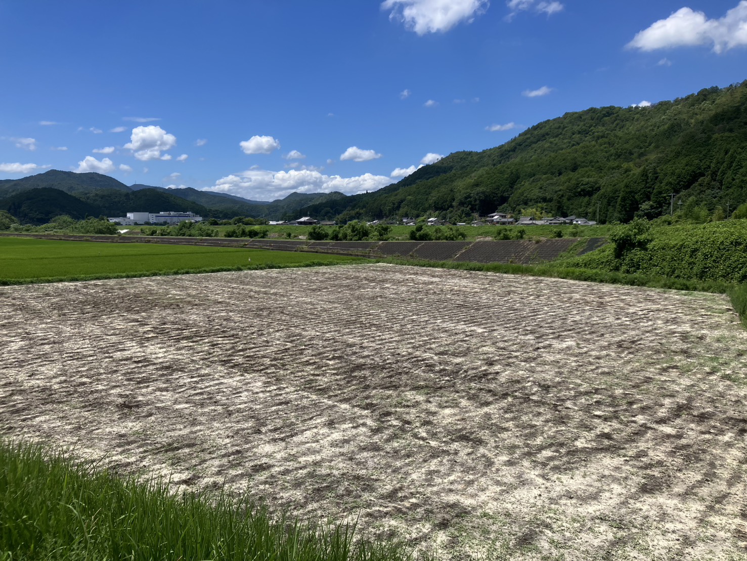肥料散布が完了した八木ファームの畑